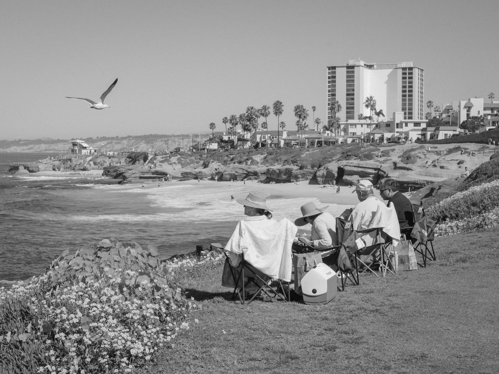 LaJolla-260208-0287