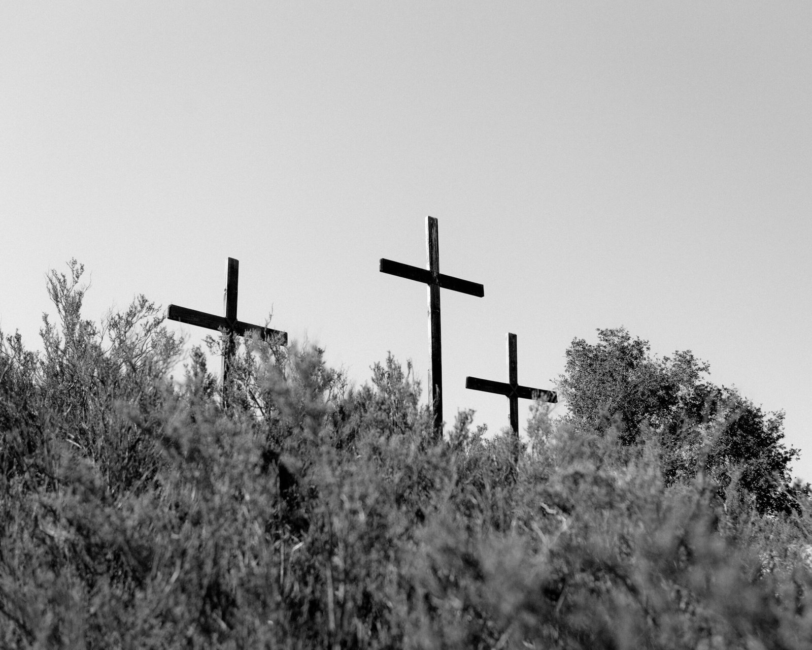 PineValley-250525-066
