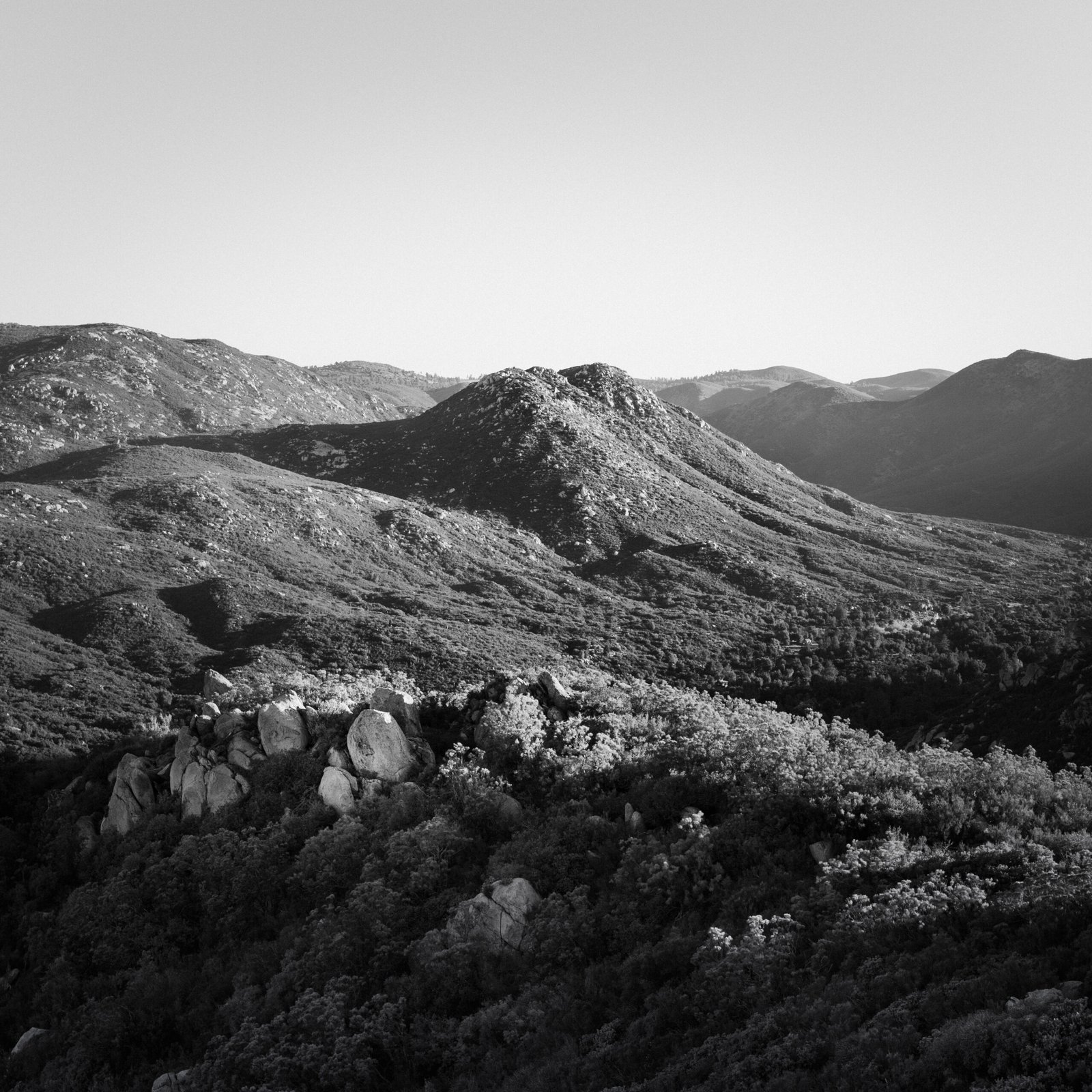 PineValley-250525-210